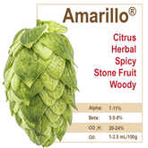 Amarillo® Hops